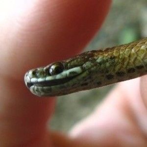 Meet your Posher, Sara